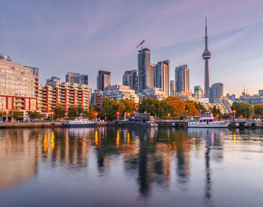 A quarter of new businesses in Canada are started by new Canadians