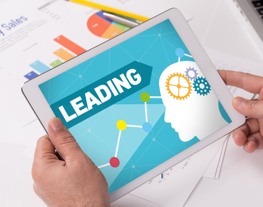 Fractional leadership